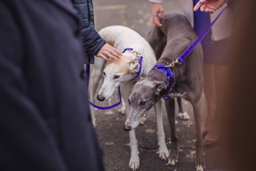 Andrew and Diana's wedding at St Mary's Church, Sompting