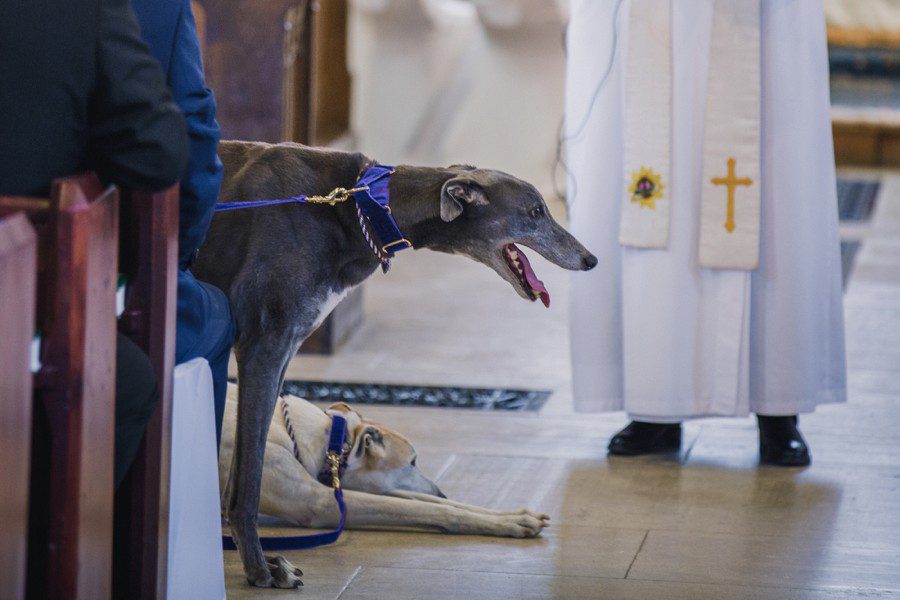 Andrew and Diana's wedding at St Mary's Church, Sompting