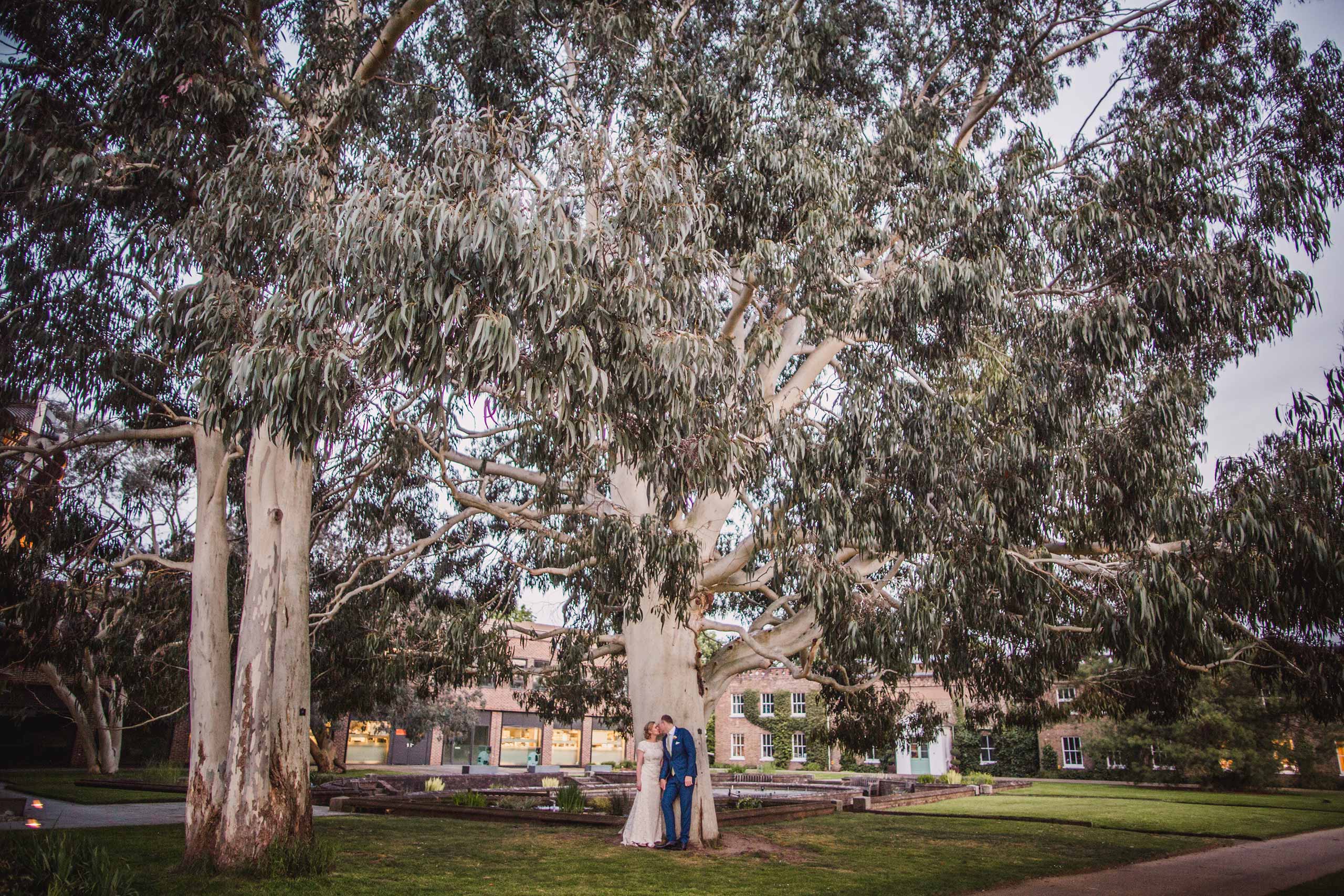 Bride and groom kiss under a eucalyptus tree in Kew Gardens