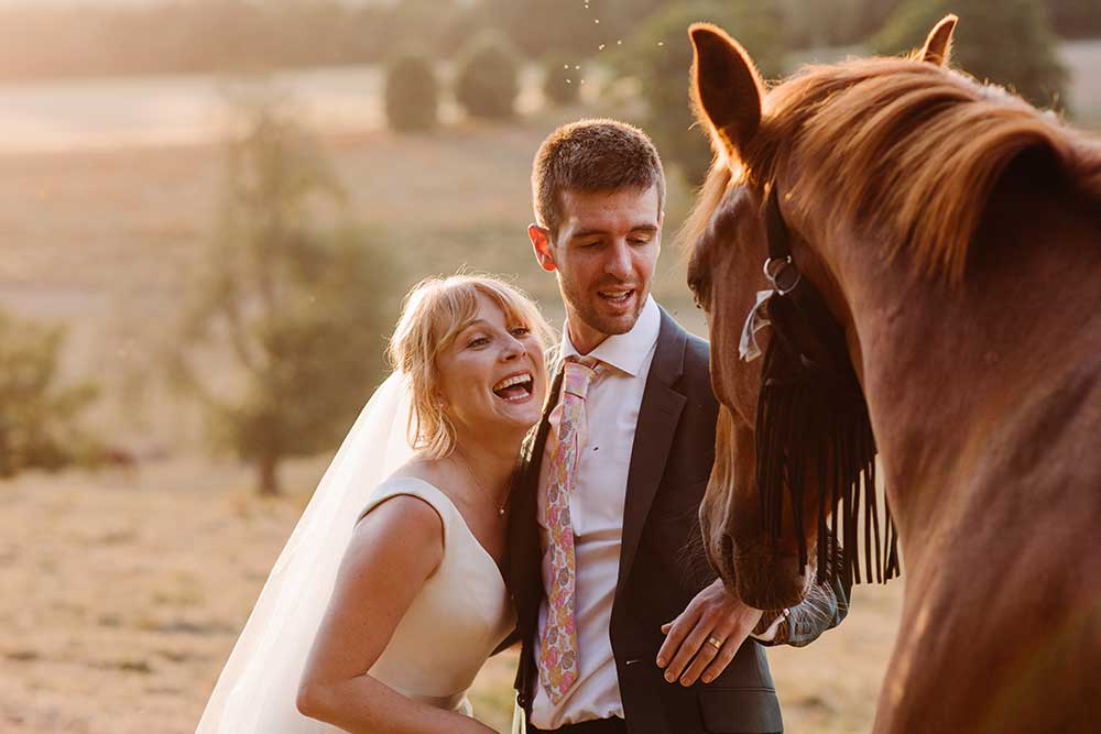 Horse saying hello to bride and groom in a field at Cissbury Barns